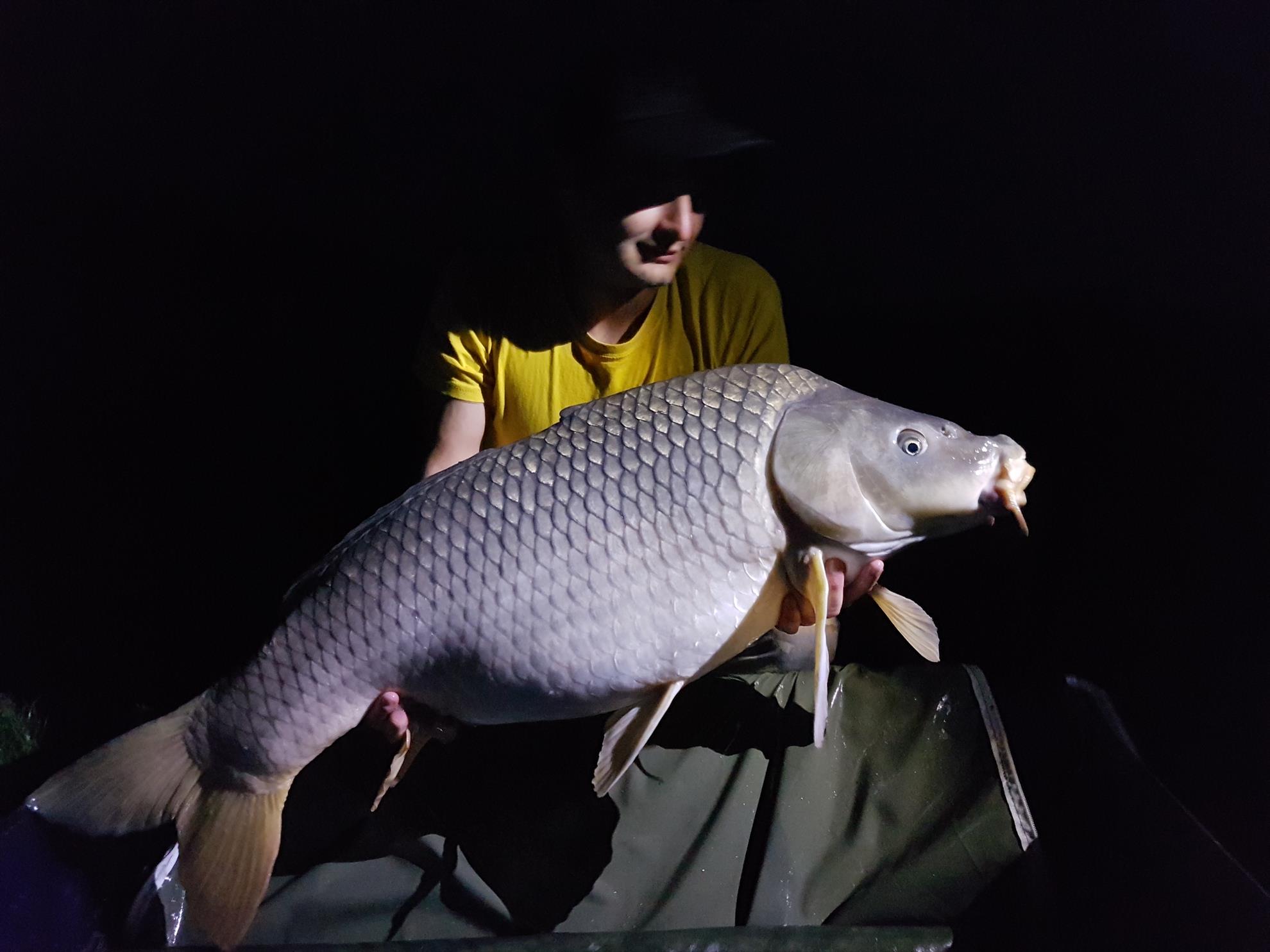 Frasin - 20170506043810.jpg